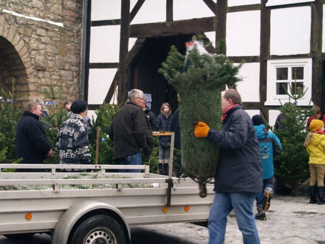 Weihnachtsbaumverkauf 2012